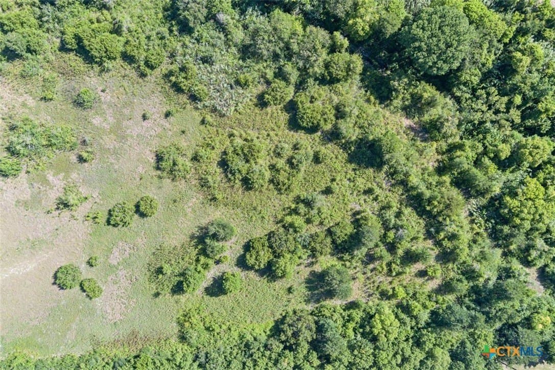 31.25 acres in Bell County - photo 14