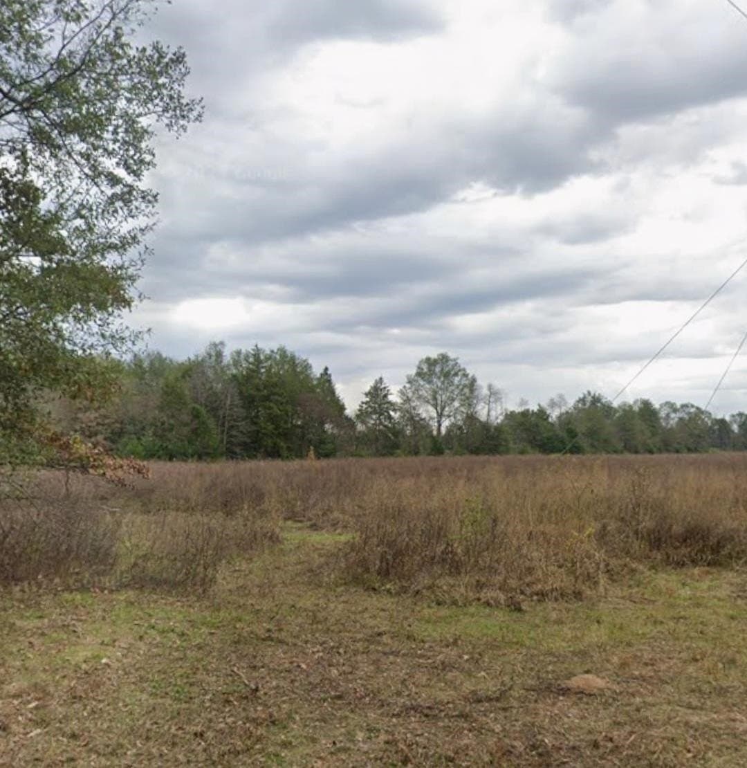 8.1 acres in Texas County gallery image 2