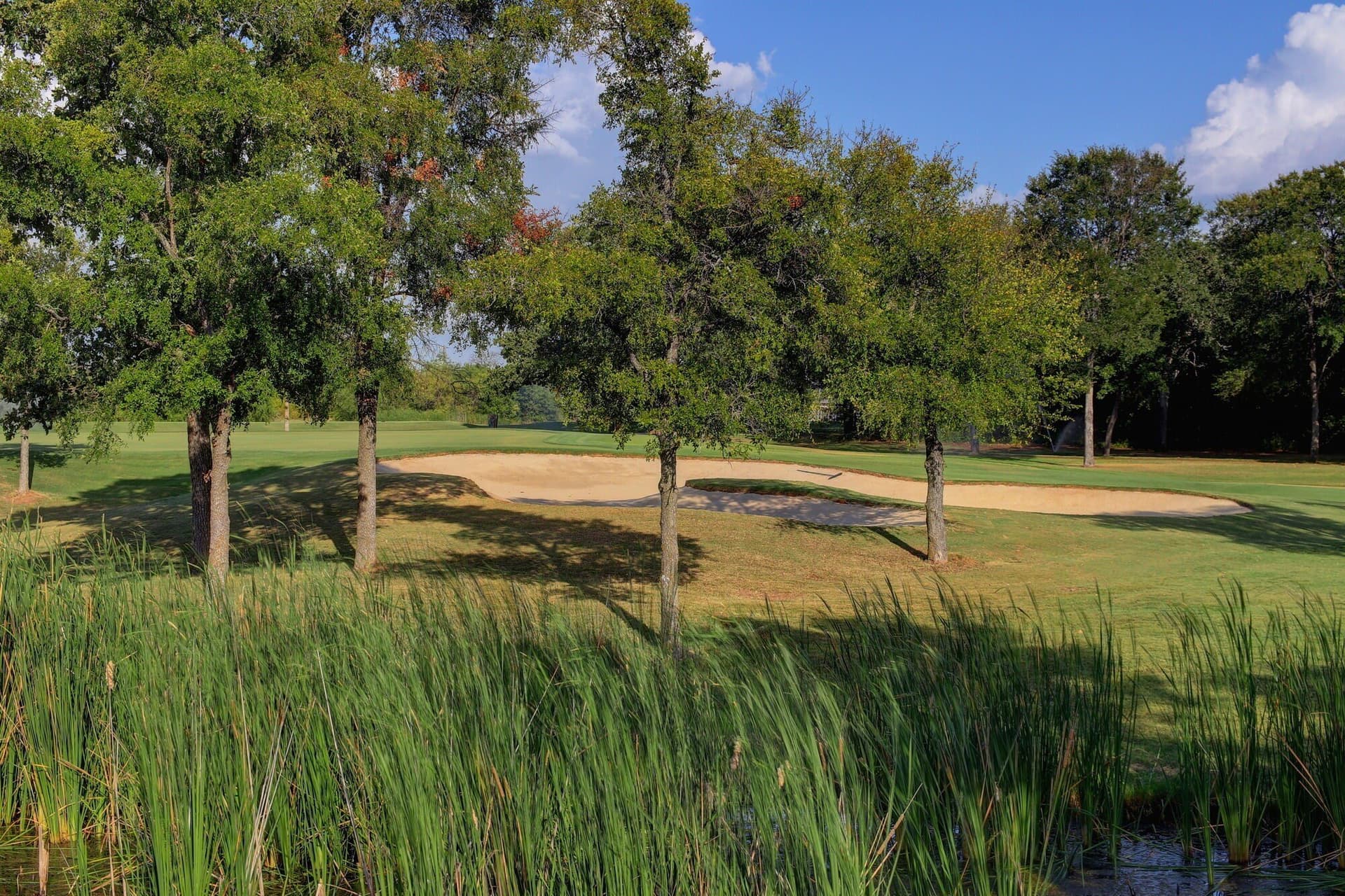 0.22 acres in Hill County - photo 6