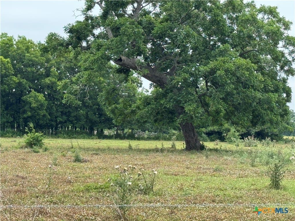 25.15 acres in Wharton County gallery image 3