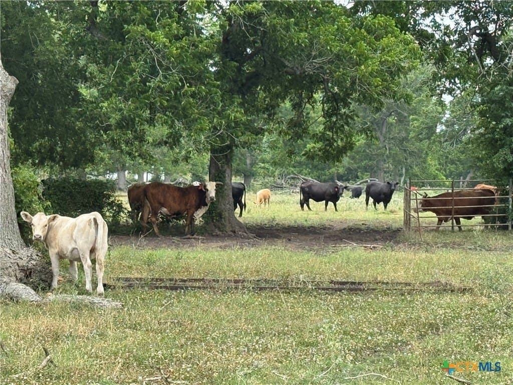 25.15 acres in Wharton County gallery image 4