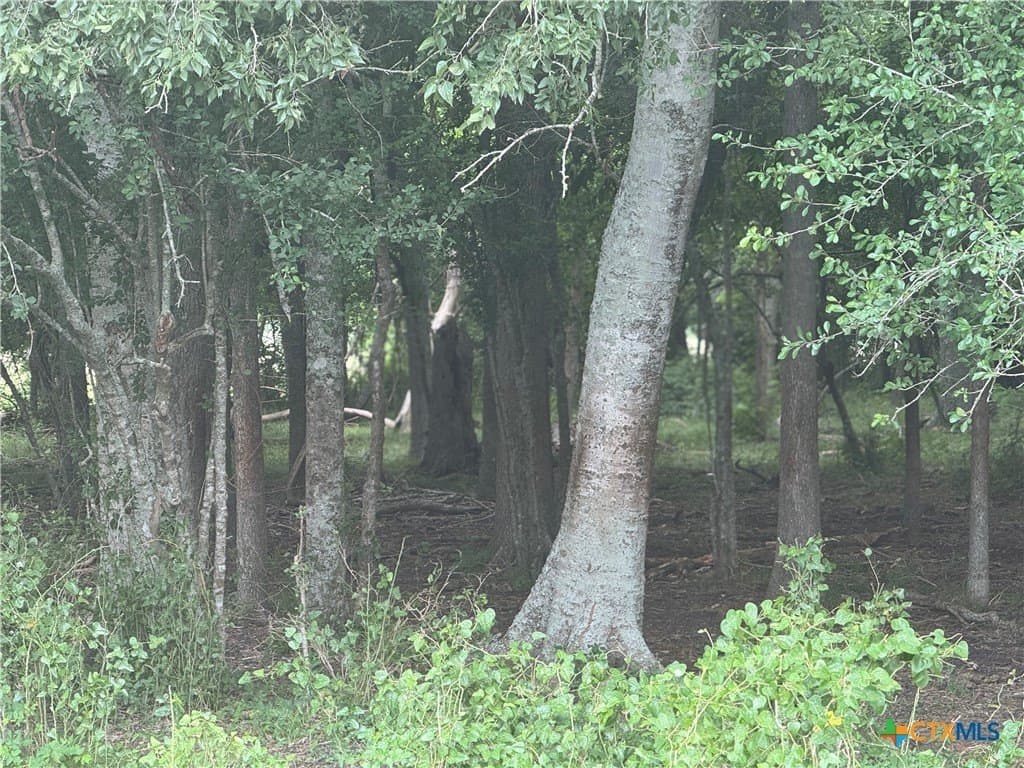 25.15 acres in Wharton County featured view