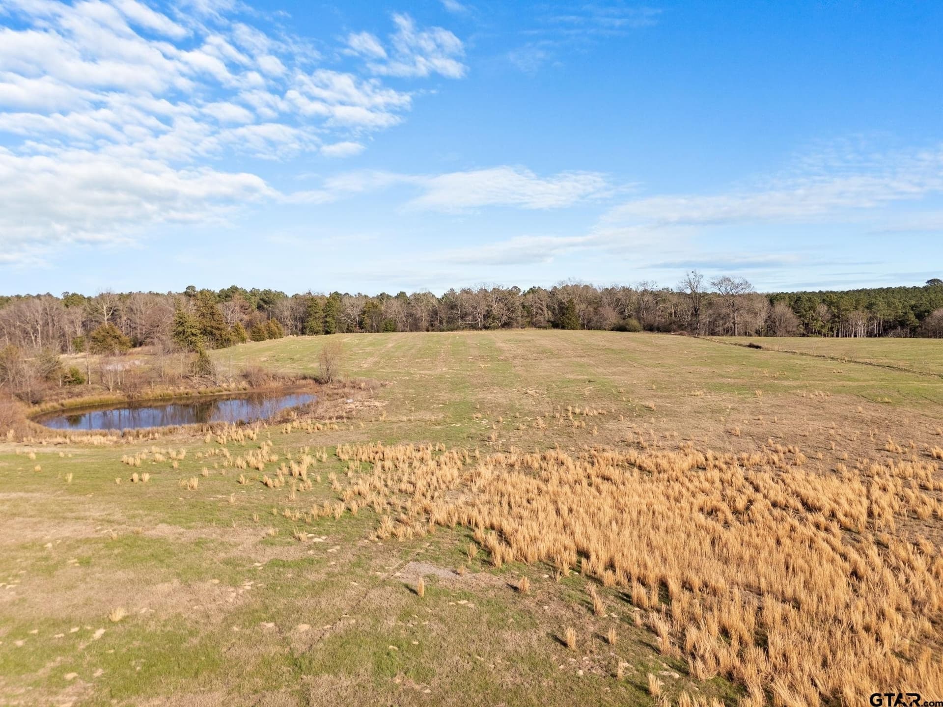 38.14 acres in Camp County gallery image 4