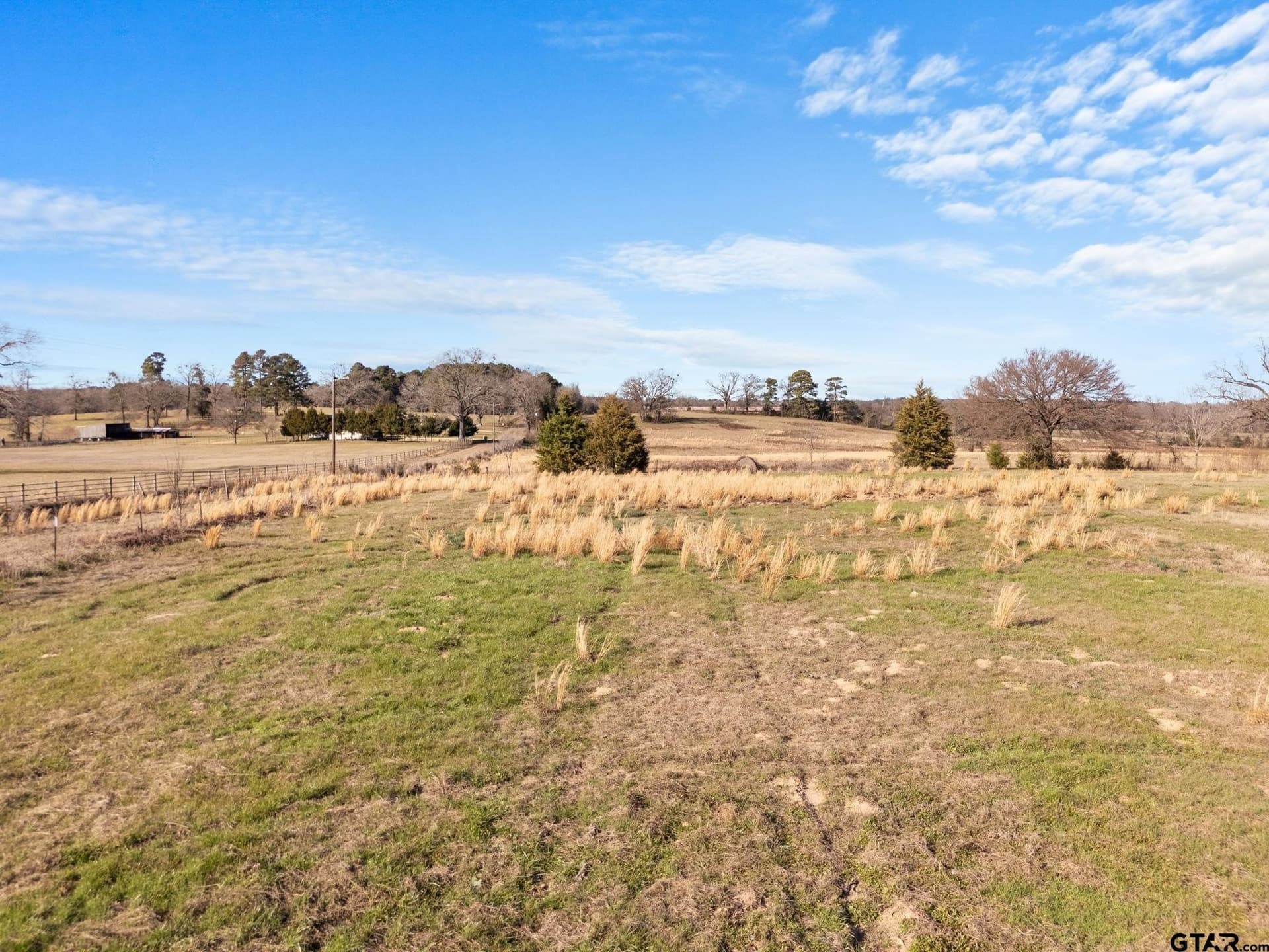 38.14 acres in Camp County featured view