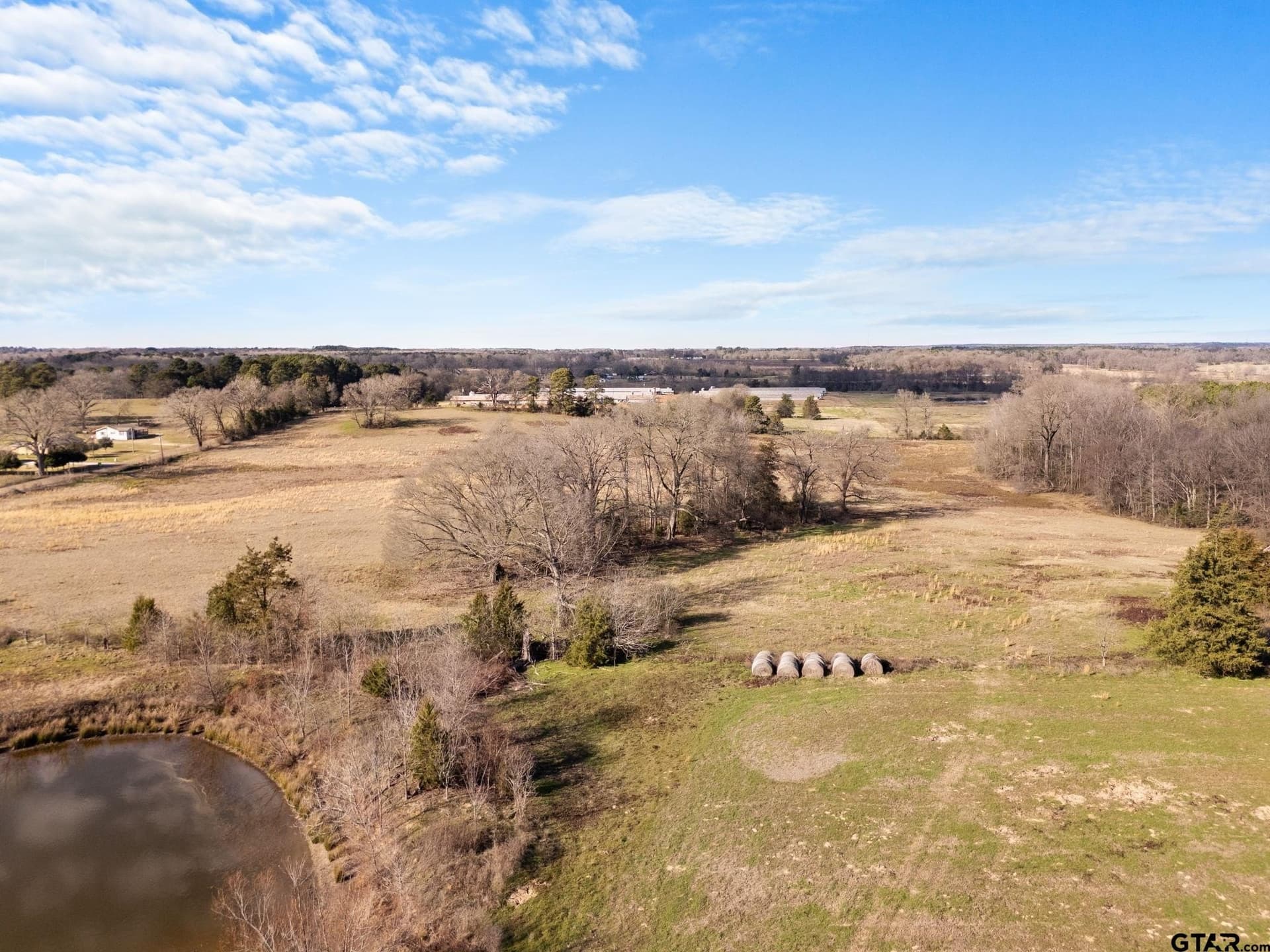 38.14 acres in Camp County gallery image 3