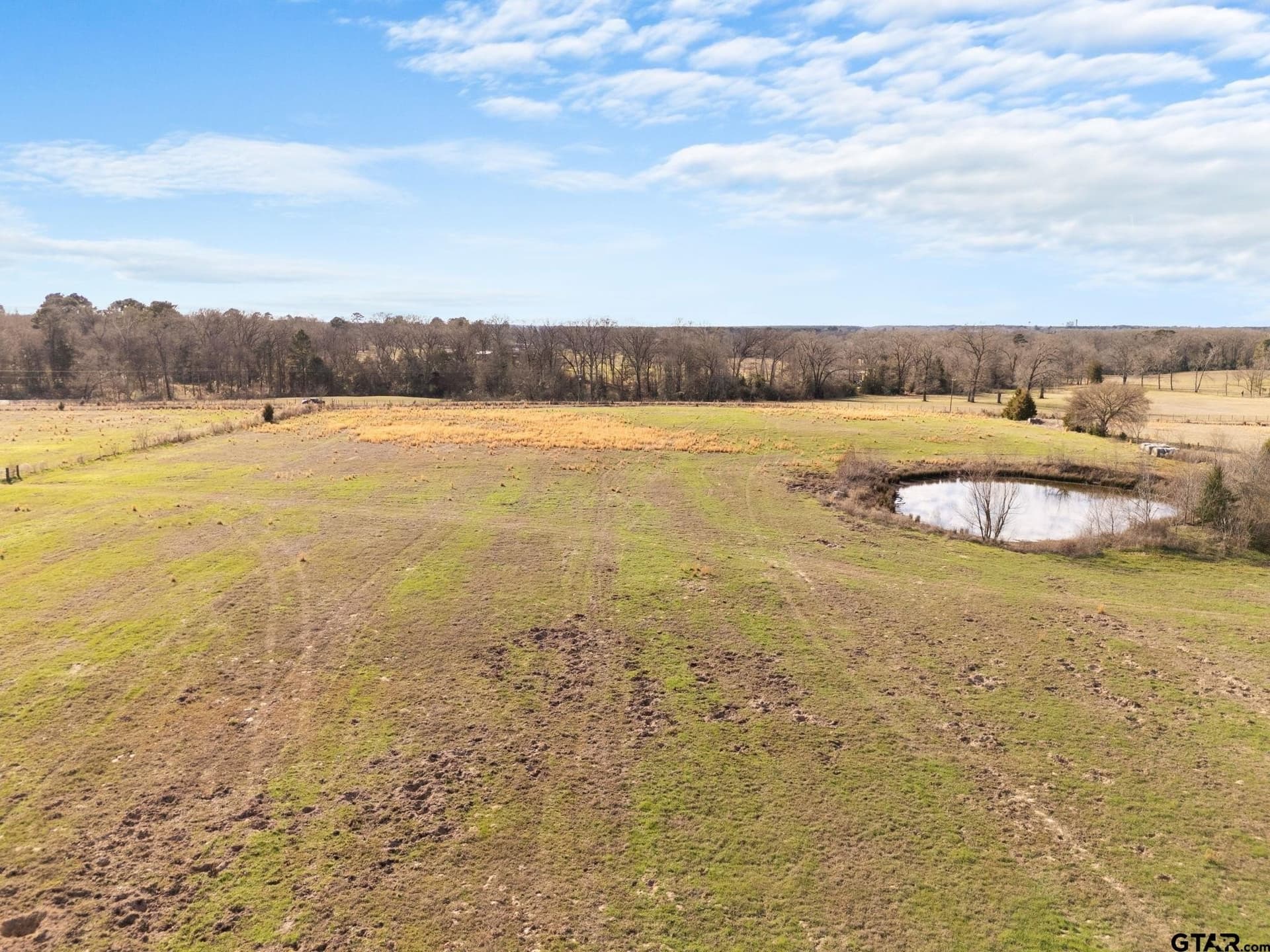 38.14 acres in Camp County gallery image 2