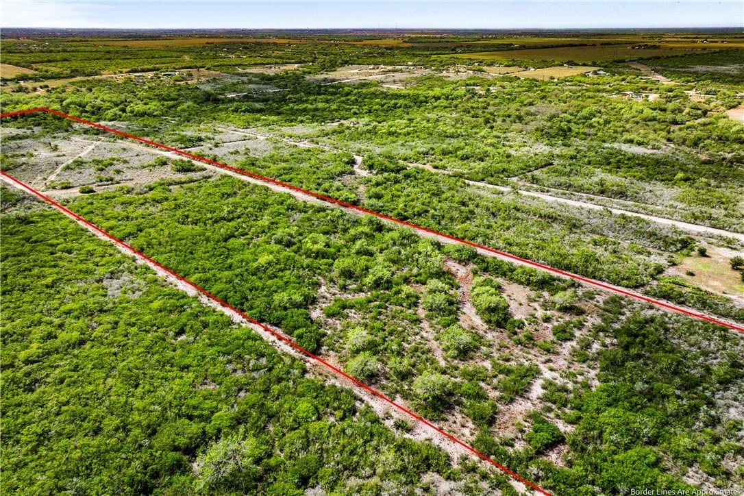 15 acres in Jim Wells County gallery image 2