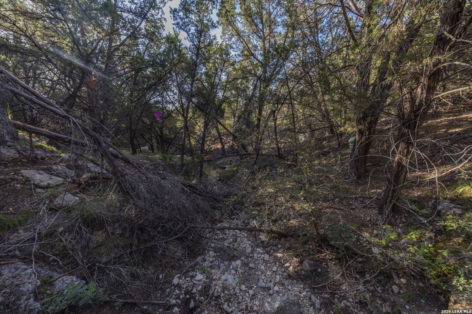 10.39 acres in Comal County - photo 66