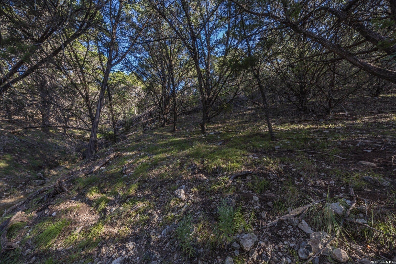 10.39 acres in Comal County - photo 65