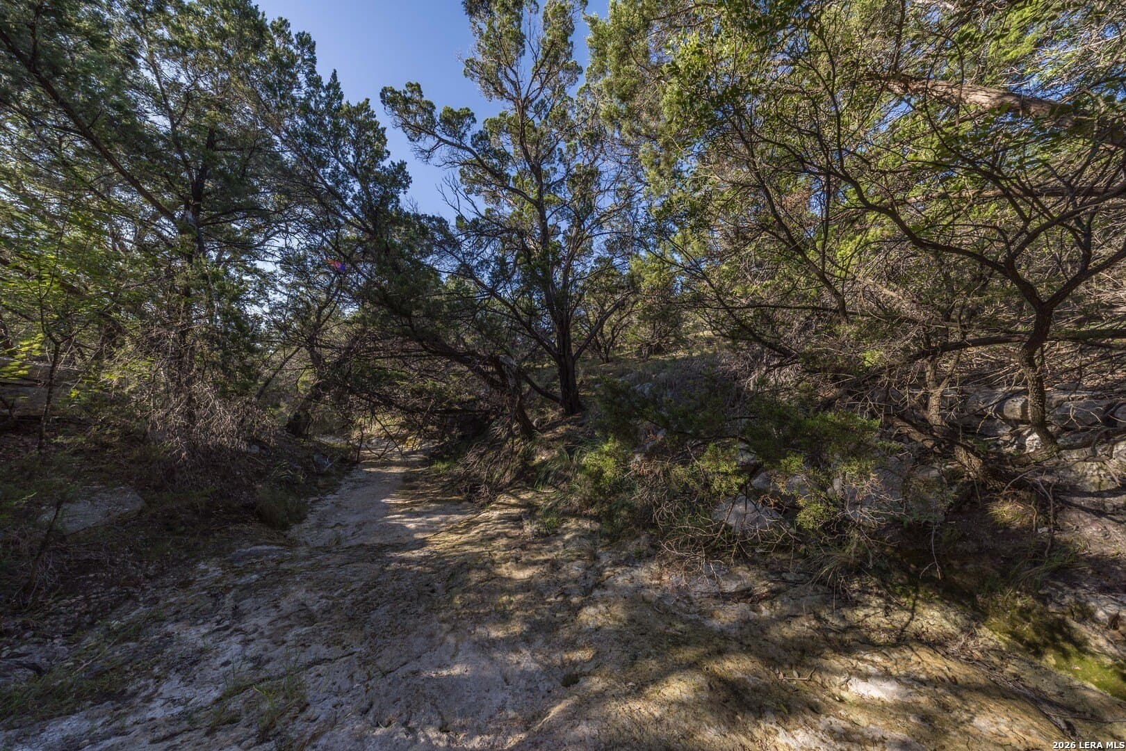 10.39 acres in Comal County - photo 63