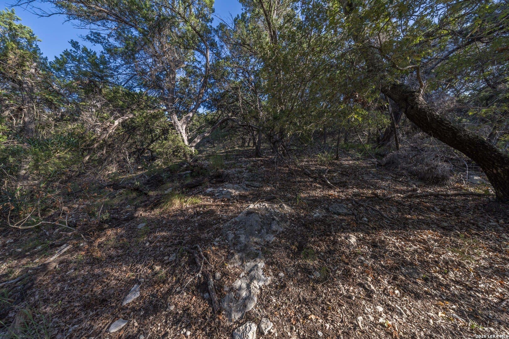 10.39 acres in Comal County - photo 71