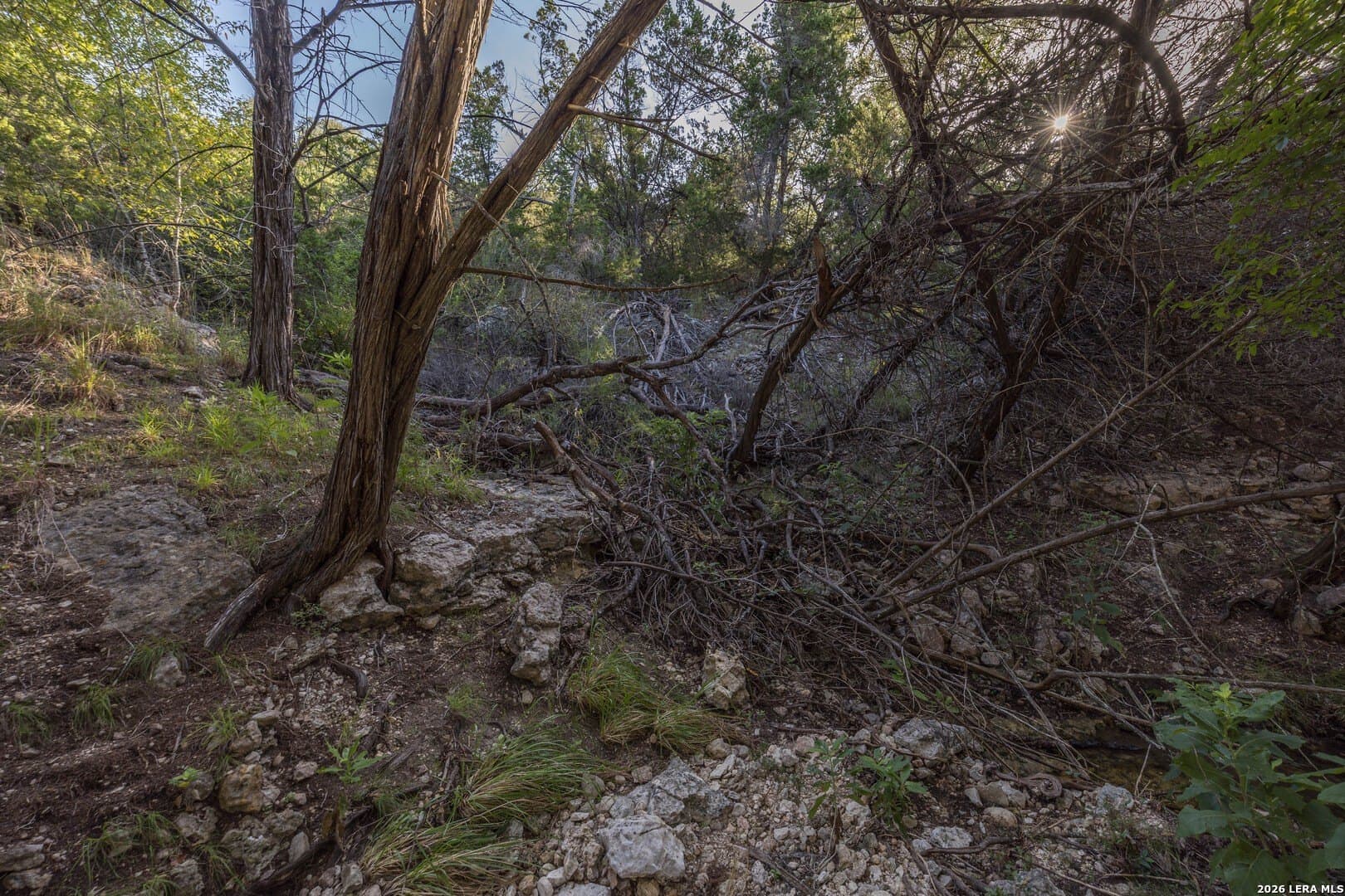 10.39 acres in Comal County - photo 69