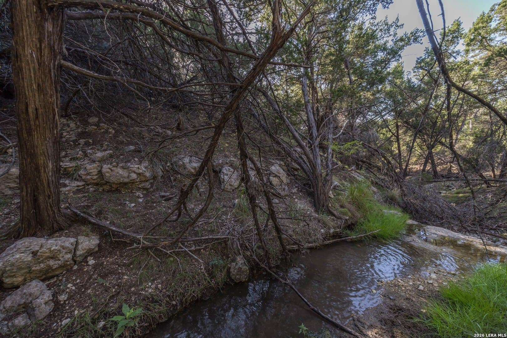 10.39 acres in Comal County - photo 67