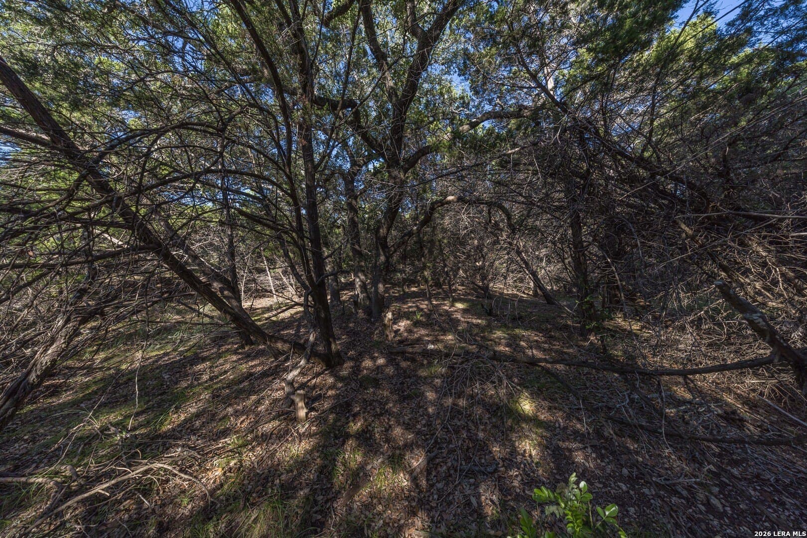 10.39 acres in Comal County - photo 62