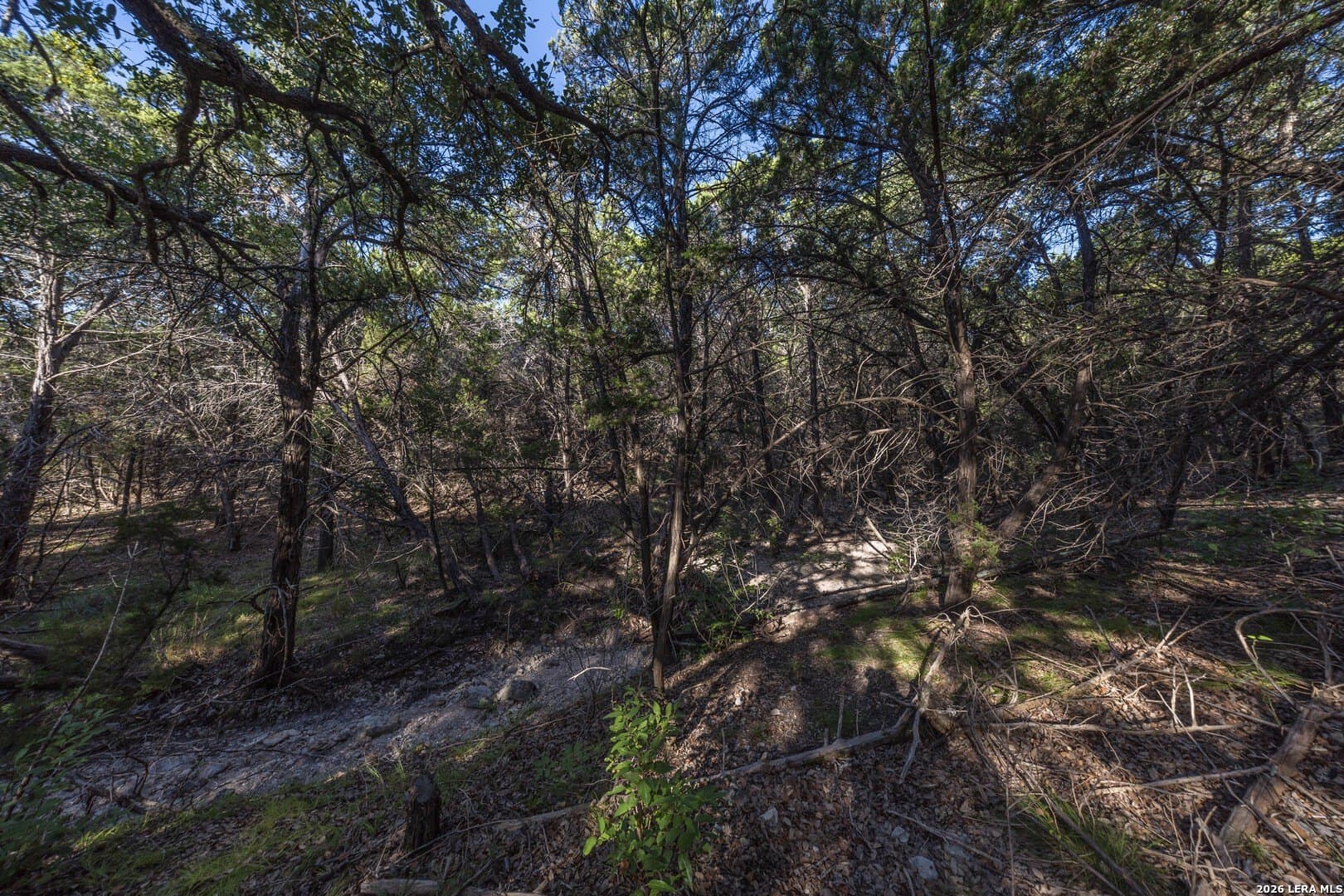 10.39 acres in Comal County - photo 60