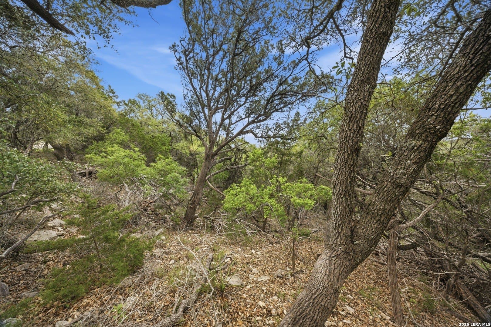 10.39 acres in Comal County - photo 48