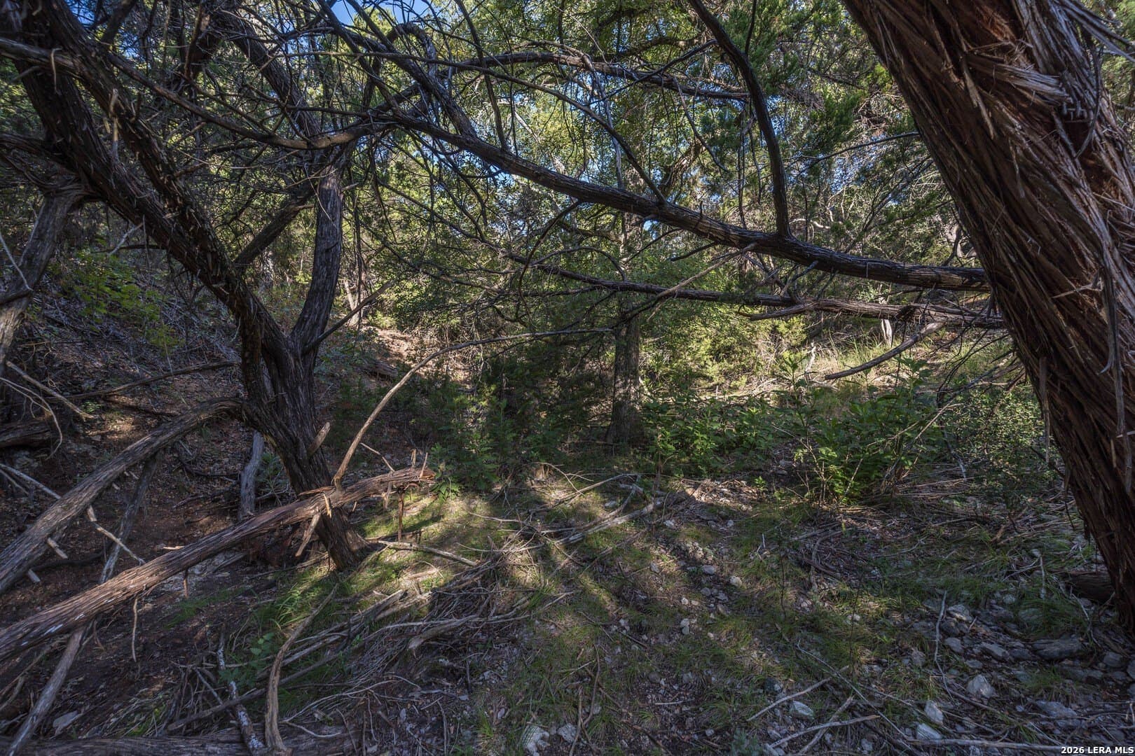 10.39 acres in Comal County - photo 70