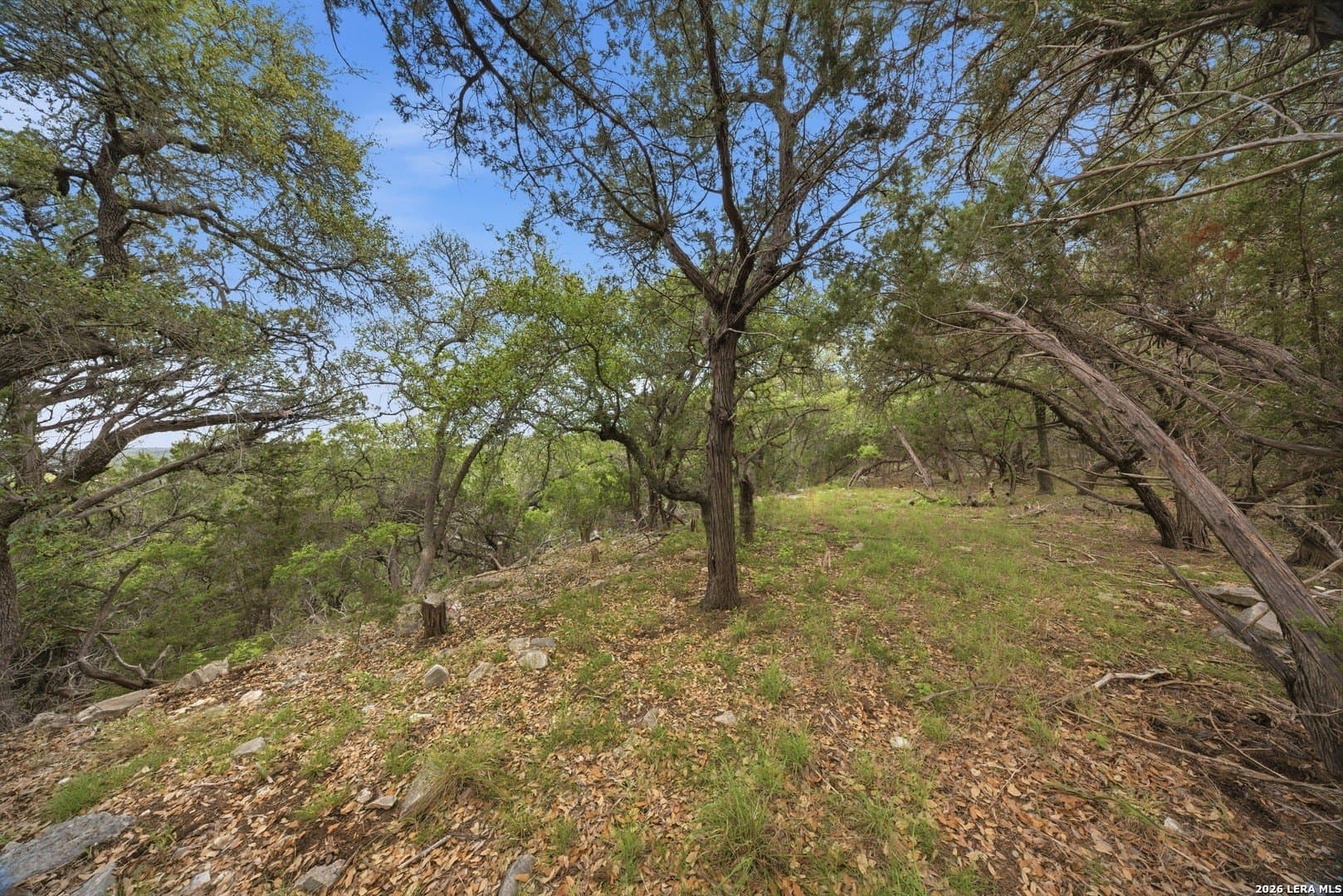 10.39 acres in Comal County - photo 47