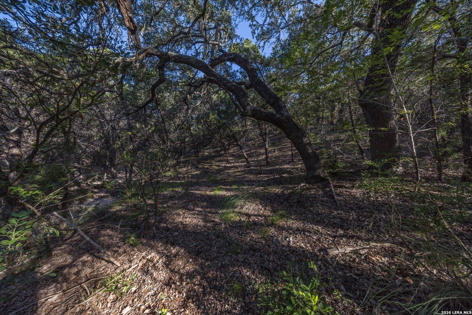 10.39 acres in Comal County - photo 61