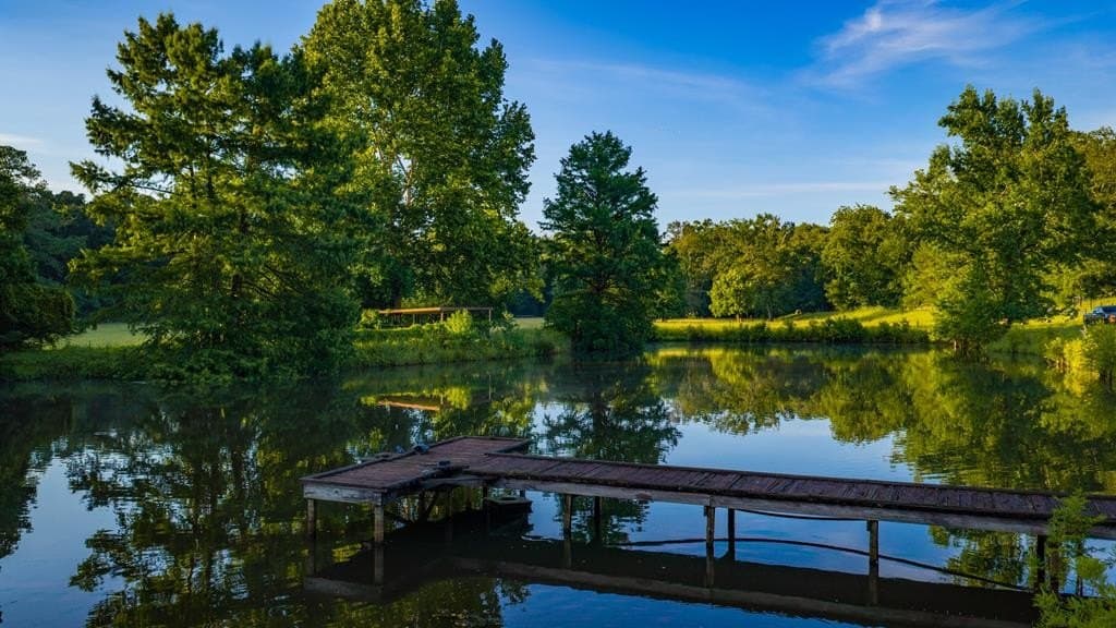 55.8 acres in Texas County - photo 132