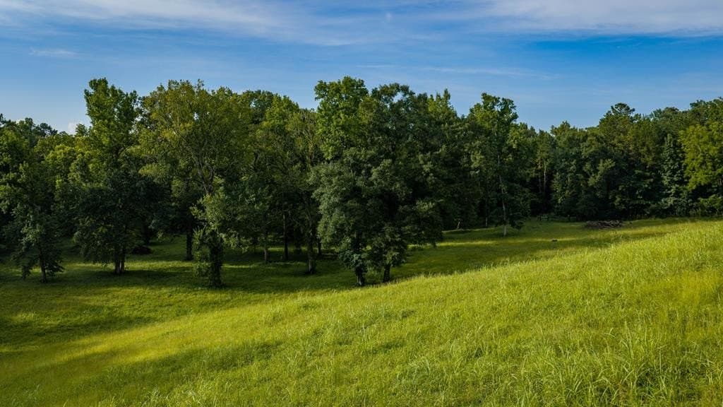 55.8 acres in Texas County - photo 140