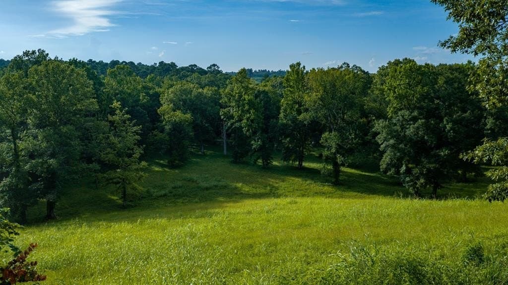 55.8 acres in Texas County - photo 141