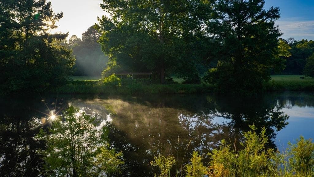 55.8 acres in Texas County - photo 30