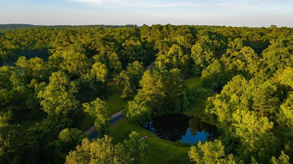 55.8 acres in Texas County - photo 31