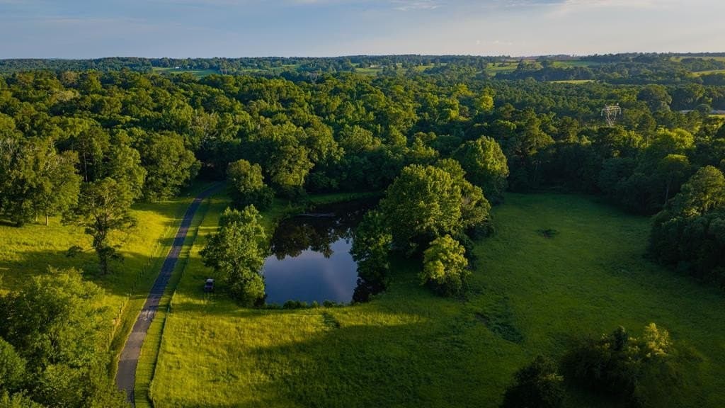 55.8 acres in Texas County - photo 28