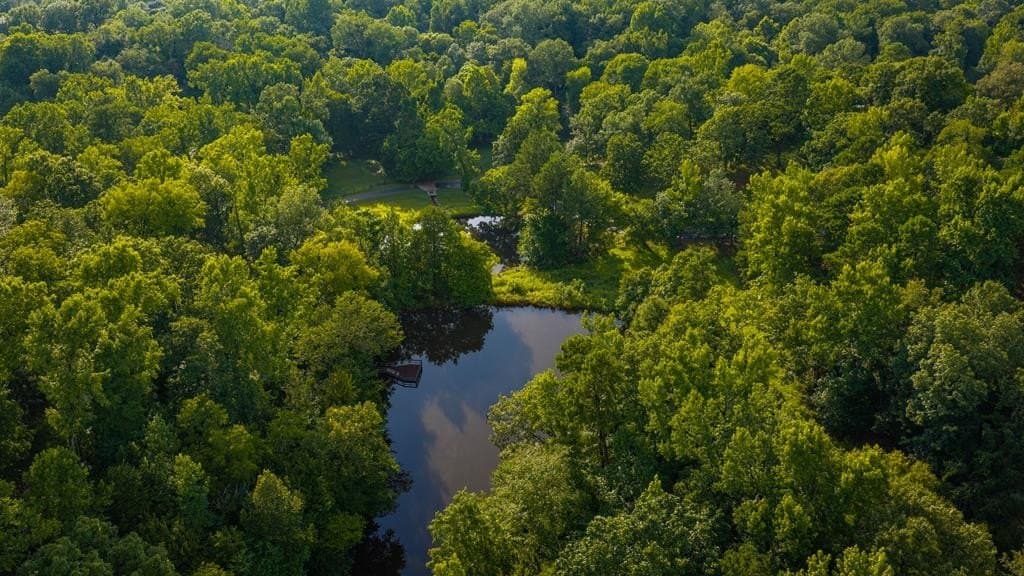 55.8 acres in Texas County - photo 16
