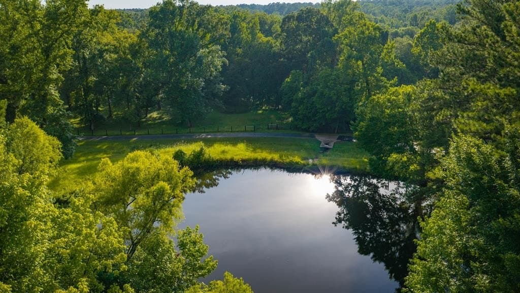 55.8 acres in Texas County - photo 17