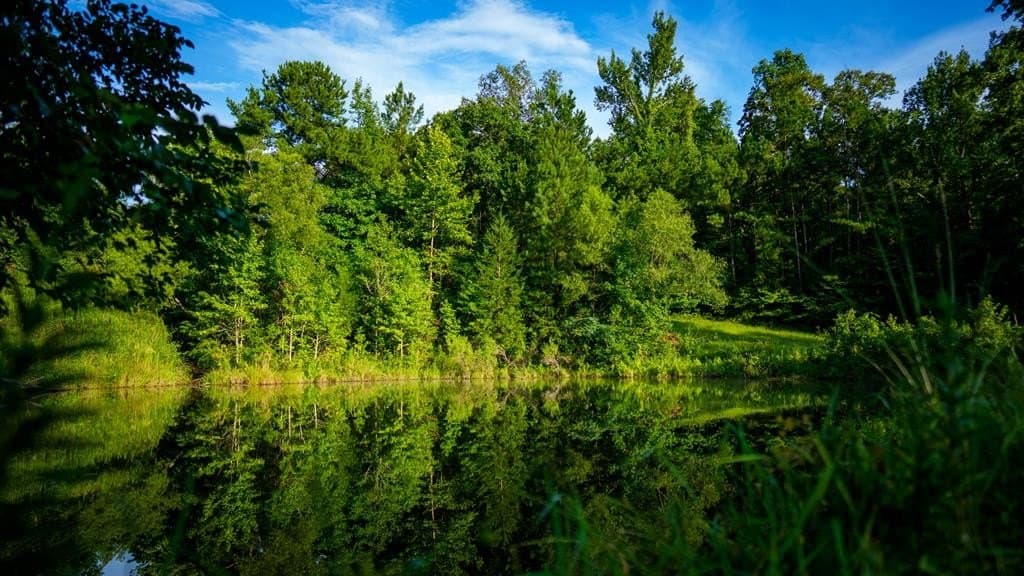 55.8 acres in Texas County - photo 7