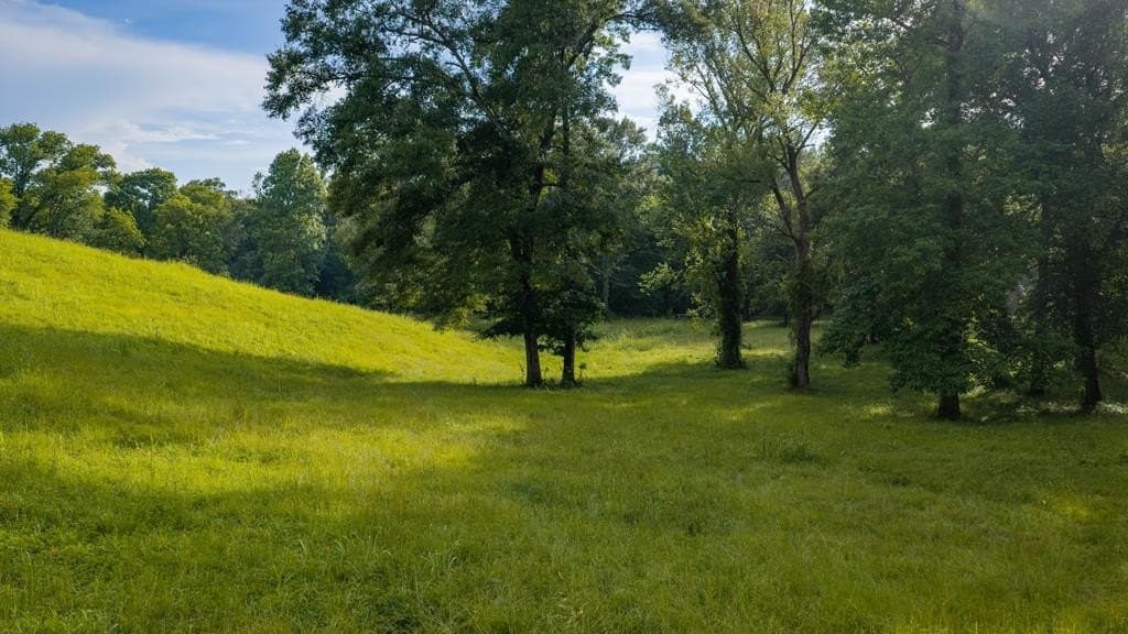 55.8 acres in Texas County - photo 9