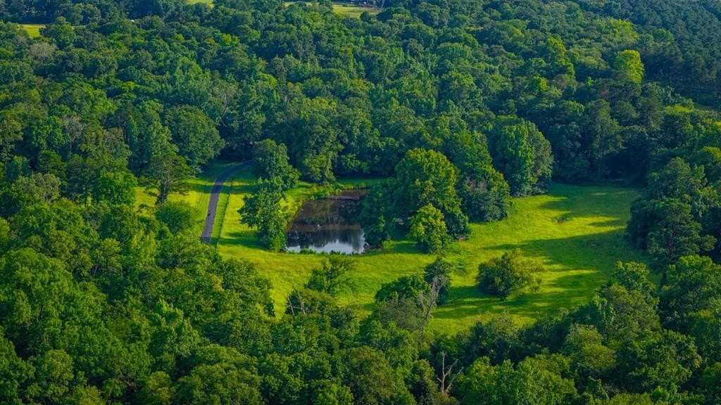 55.8 acres in Texas County - photo 13