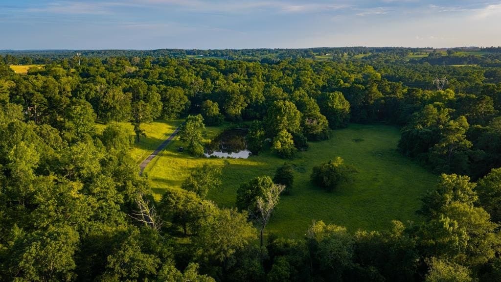 55.8 acres in Texas County - photo 29