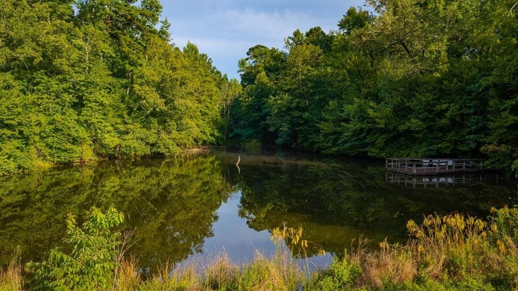 55.8 acres in Texas County - photo 19