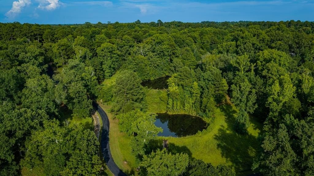 55.8 acres in Texas County - photo 3