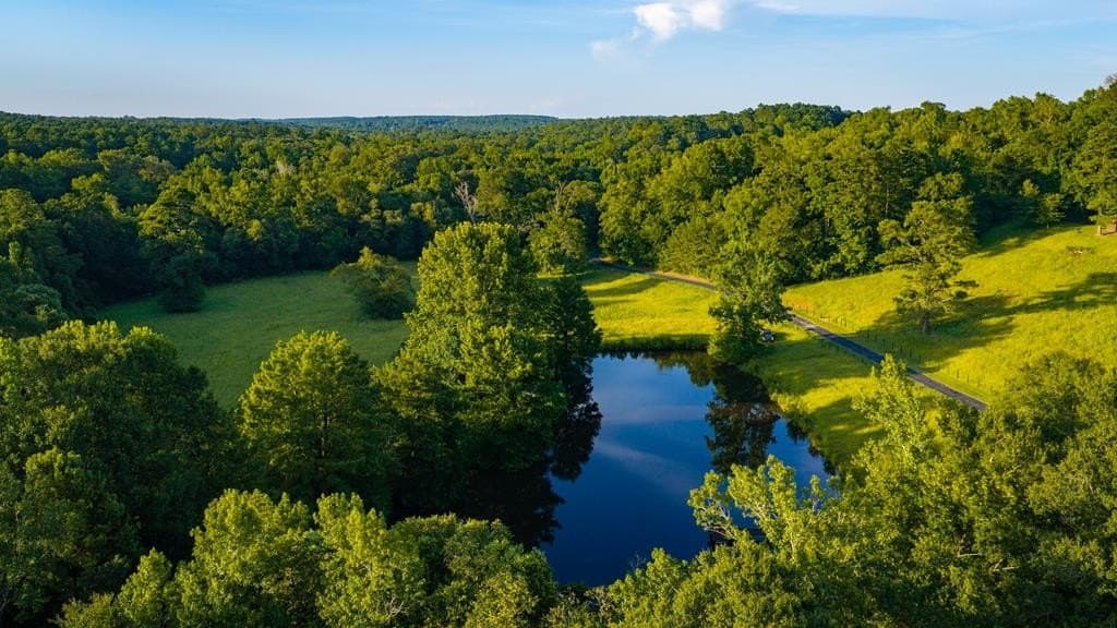 55.8 acres in Texas County - photo 24
