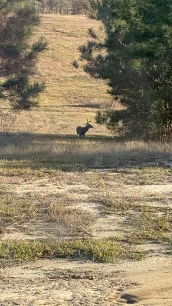 64.18 acres in Texas County - photo 3