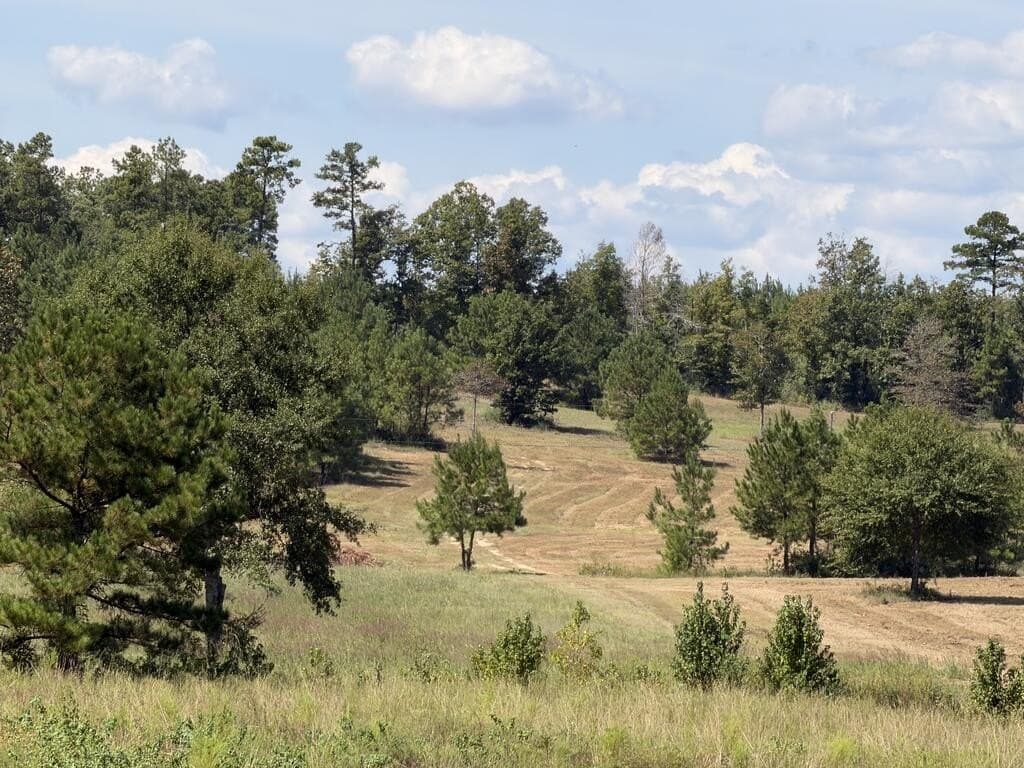 64.18 acres in Texas County - photo 5