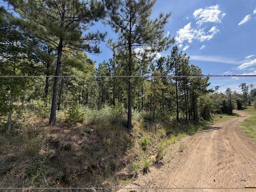 64.18 acres in Texas County - photo 8