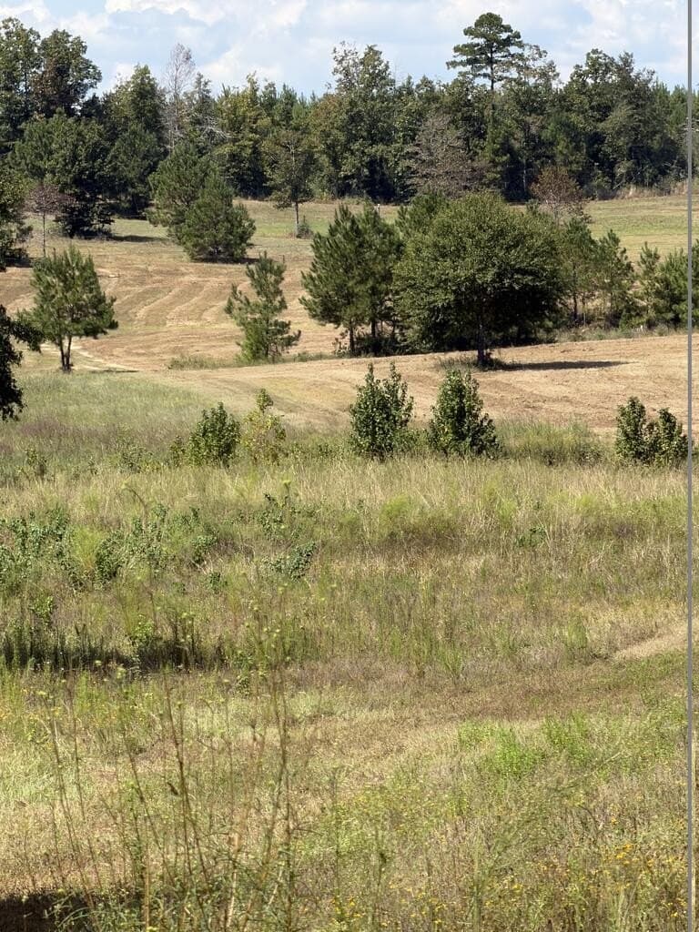 64.18 acres in Texas County - photo 6