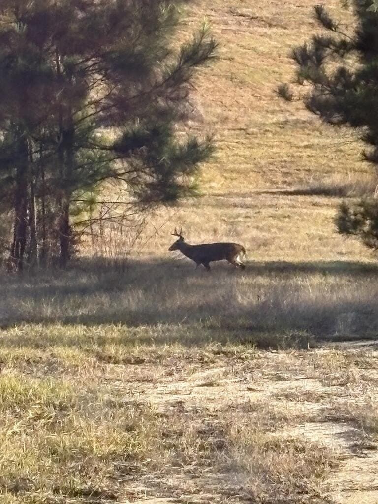 64.18 acres in Texas County