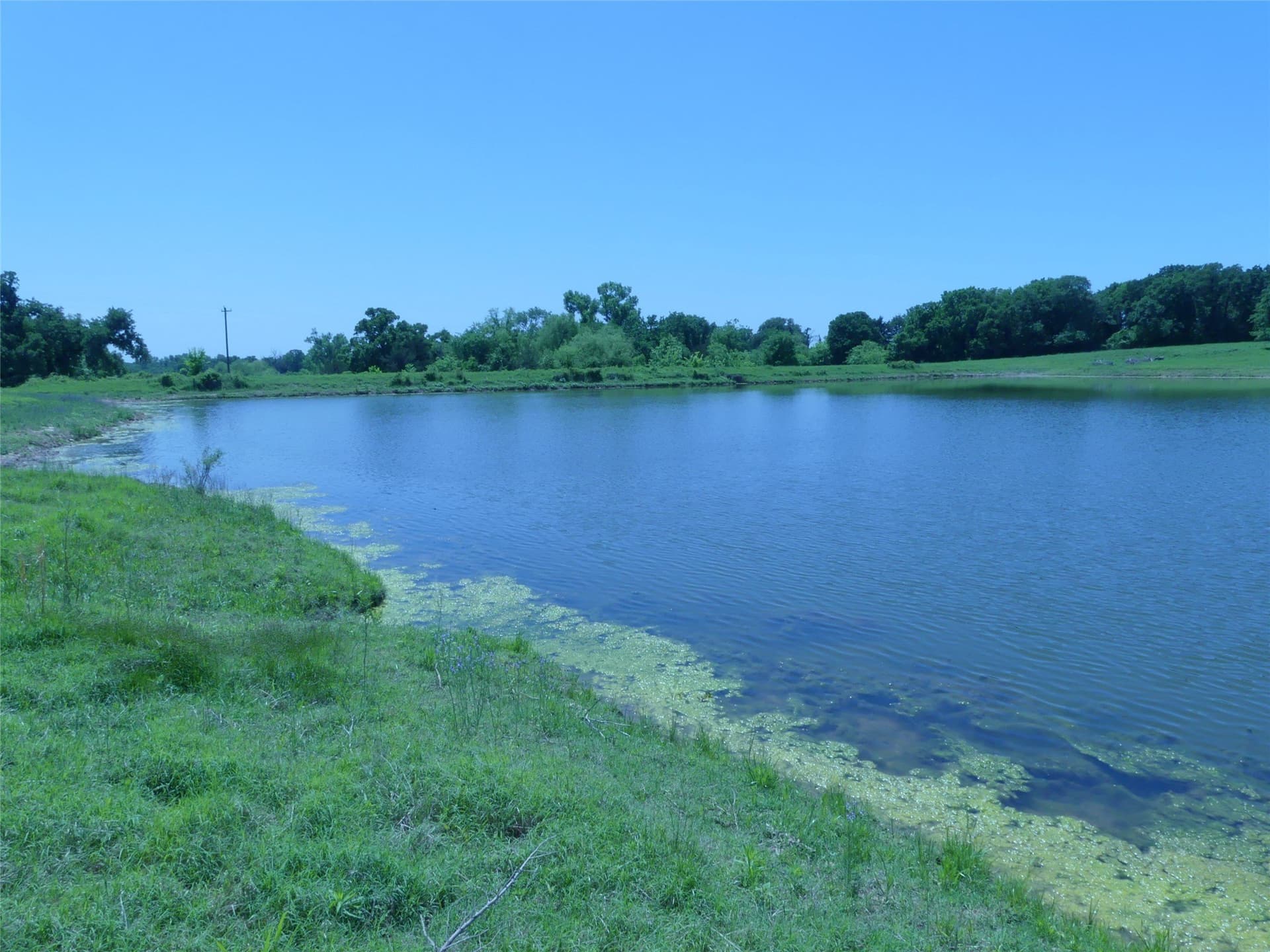 135 acres in Montague County - photo 31