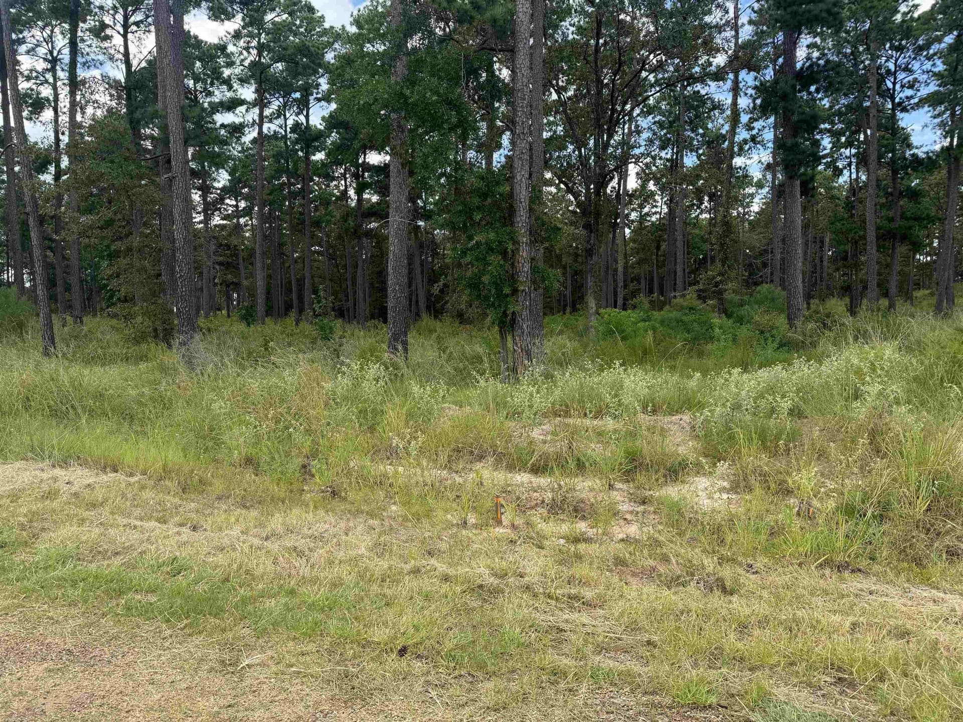1.09 acres in Texas County - photo 7