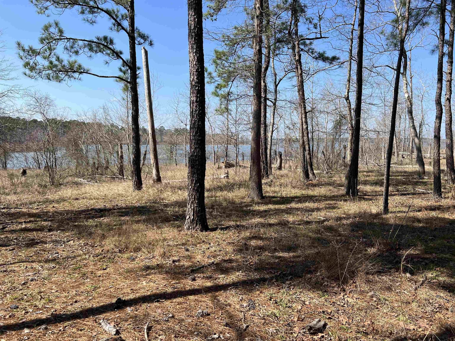 1.09 acres in Texas County - photo 9