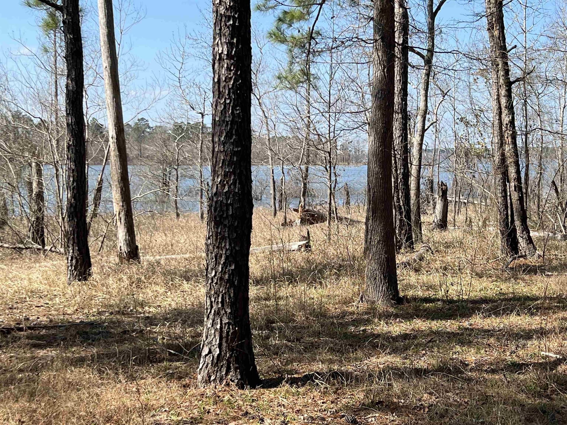 1.09 acres in Texas County - photo 8