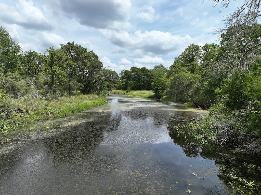 46.31 acres in Colorado County - photo 17