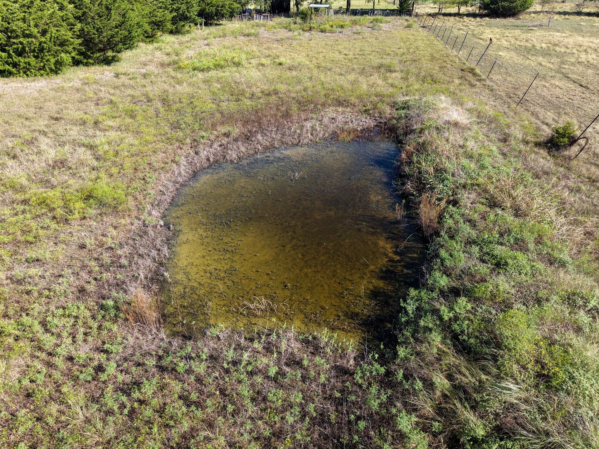 4 acres in Grayson County - photo 7