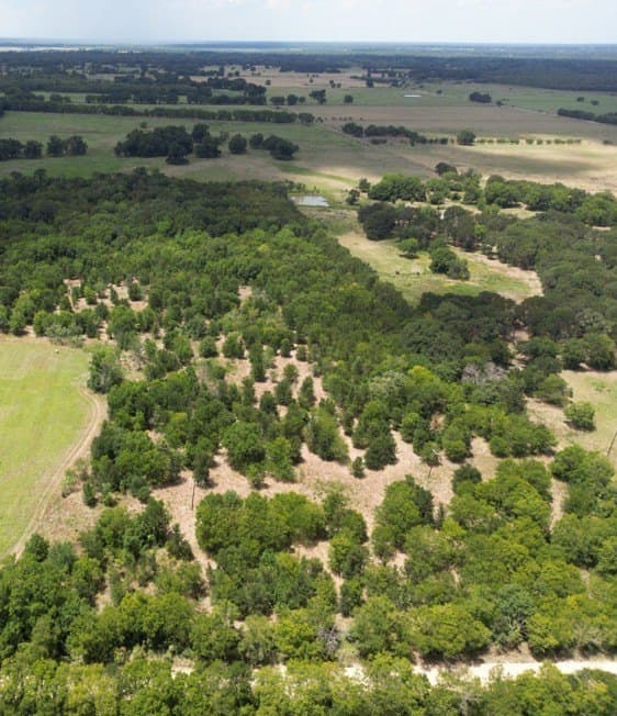 5.5 acres in Navarro County - photo 3